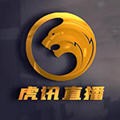 虎讯直播网官方下载